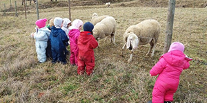 Rapporto Animale Bambino